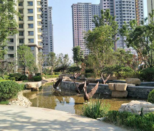 1649726483144694.jpg 9.jpg